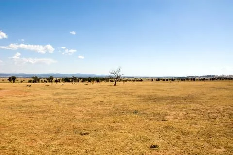 Rural scene Stock Photos
