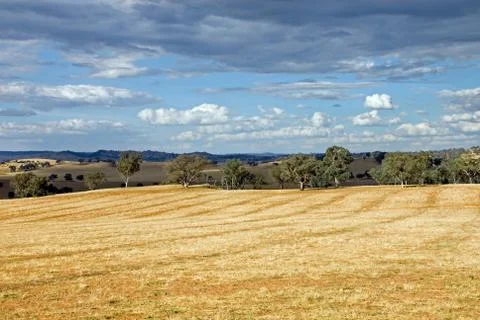 Rural scene Stock Photos