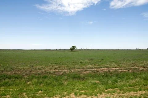 Rural scene Stock Photos