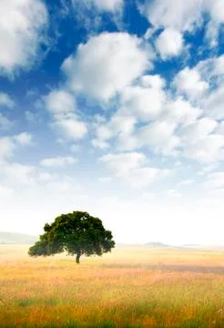 Rural scene Stock Photos