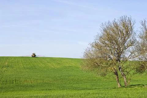 Rural scene Stock Photos