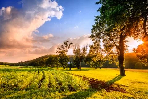 Rural scene Stock Photos