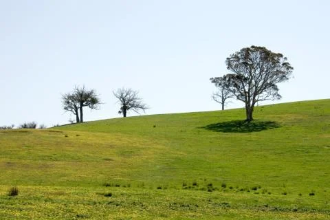 Rural Scene Stock Photos