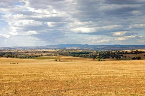 Rural Scene Stock Photos