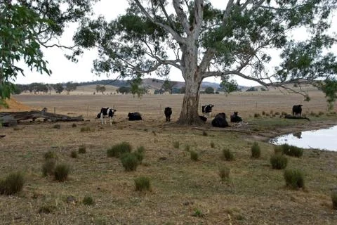 Rural Scene Foto stock