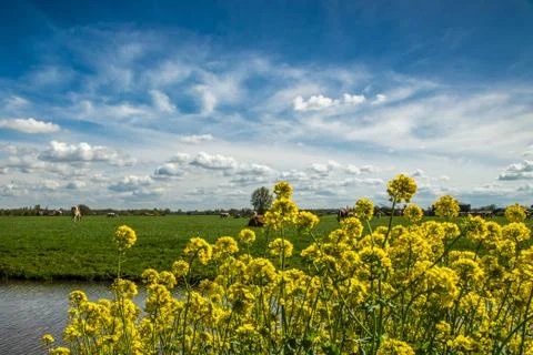 Rural scene Stock Photos