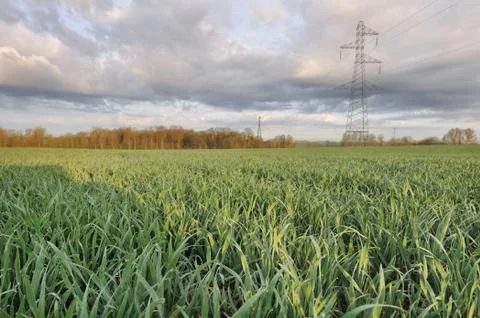 Rural scene Stock Photos