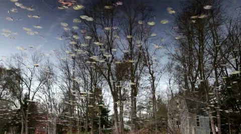 Rural scene reflected on surface of pond Stock Footage 44020017