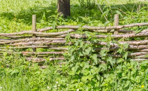 Rural scenery with barn Stock Photos