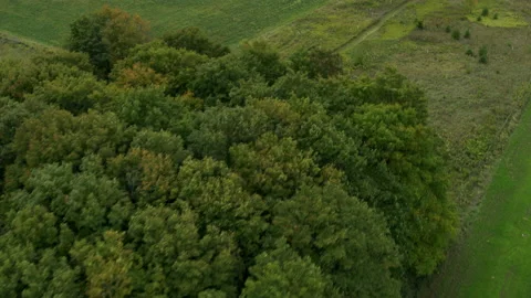 Rural Scenery from Drone Point of View Vidéo 237737763