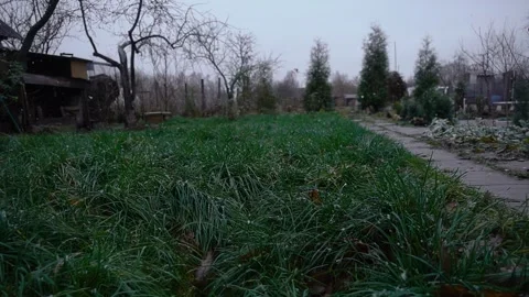 Rural scenery: first snow Stock Footage 255975271