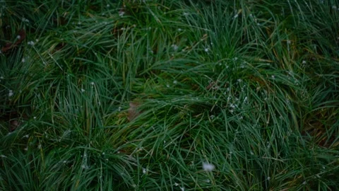 Rural scenery: first snow Stock Footage 255975383