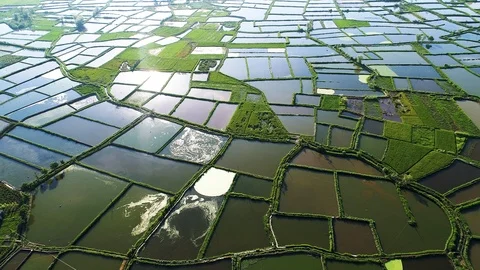 Rural scenery Video stock 101500656