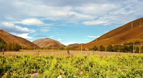 The rural scenery of plateau Stock Photos