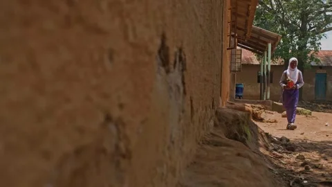 Rural School Stock Footage 336468673