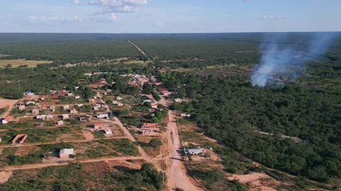 Rural settlement with active fire management among Cerrado savanna vegetation Vidéo 327357419