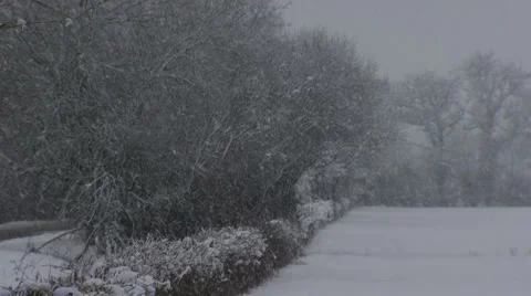 Rural Snowscape Stock Footage 1107002