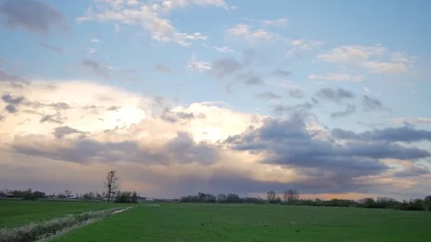 Rural spring landscape. Fresh green meadow with one big tree. Video stock 74759108