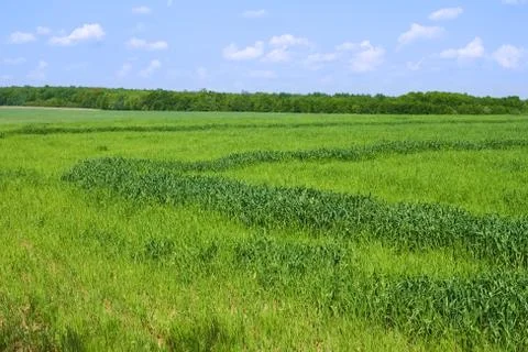 Rural spring landscape Stock Photos