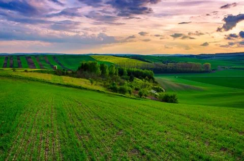Rural spring landscape Stock-Fotos