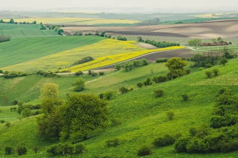 Rural spring landscape Фото