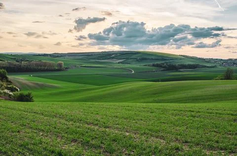 Rural spring landscape Фото