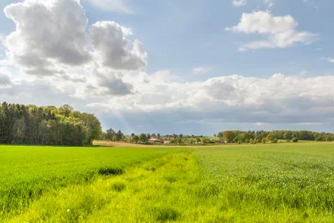 Rural springtime scenery Stock Photos