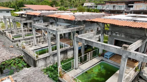 Rural-style houses with pools, surrounded by lush green lotus ponds Stock Footage 303398352
