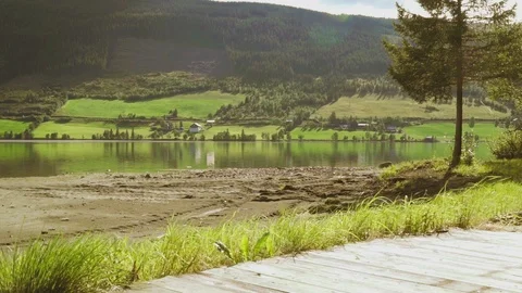 Rural summer beach view Stock Footage 113134358