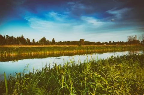 Rural summer sunset Stockfoto's