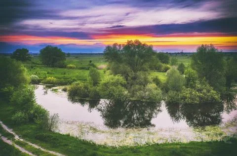 Rural summer sunset Stock-Fotos