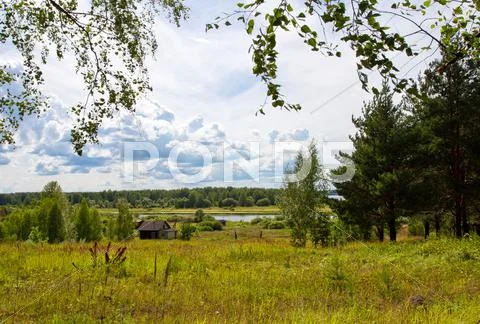 Rural sunny landscape Stock Photos
