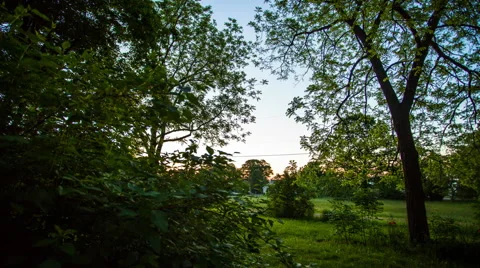 Rural sunrise motion-timelapse Video stock 47289959