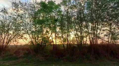 Rural Sunset Landscape Driving View with Dramatic Sky Stock-Footage 333429686
