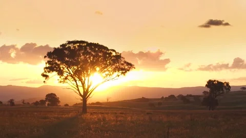 Rural Sunset Outback Australia Stock Footage 276023991
