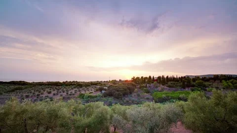 Rural Sunset over Olive Trees in Tuscany, Italy, Timelapse Stock Footage 316766848