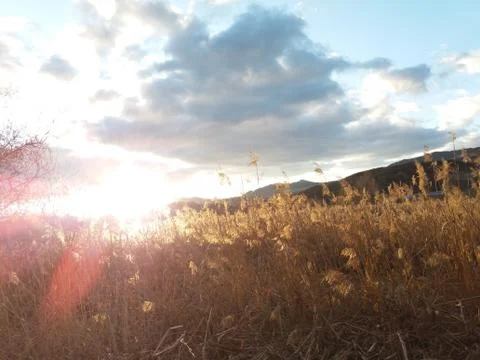 Rural Sunset Stock Photos