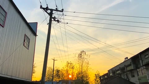 Rural Sunset with Power Lines and Silhouetted Birds in Calm Evening Stock Footage 341957996