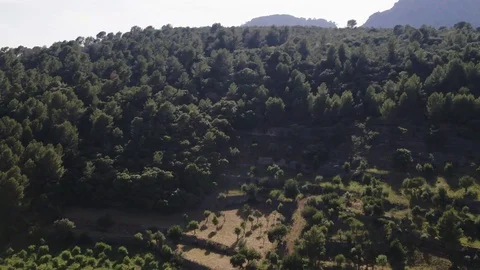 Rural town between forest and hills, drone shot, Mallorca island, raw in 4k Stock Footage 90162652