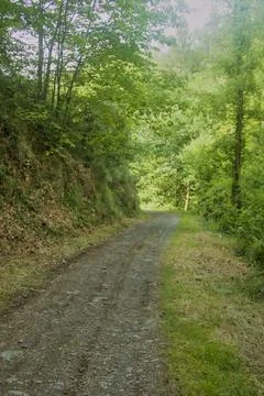 Rural track in a basque valley Stock Photos