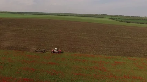 Rural Tractor Cutting Poppy Fields Stock-Footage 65335516