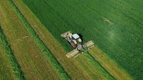 Rural Tractor Mowing Fresh Green Grass For Hay In Agricultural Field Aerial View Stock Footage 124524497