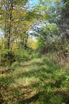 Rural trail Stock Photos