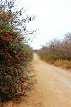 Rural trail Stock Photos