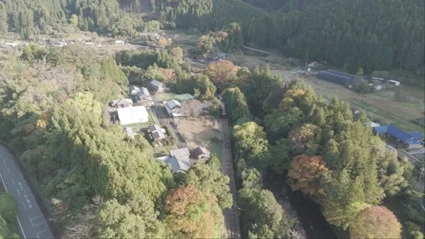 Rural Train Entering Deep Forest – Aerial Drone Footage (Japan) Stock Footage 323182225