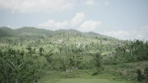 Rural tree covered hillside Stock Footage 340821436