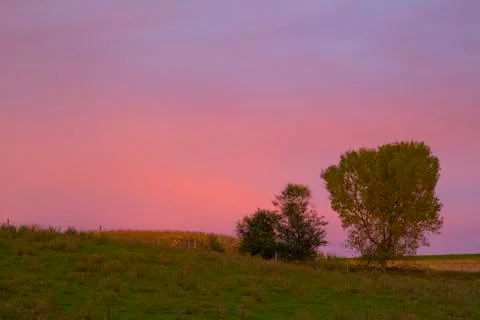 Rural trees sunset. Stock Photos