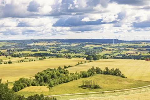 Rural view at a patchwork landscape with cultivated fields and tree groves in Fotos de archivo