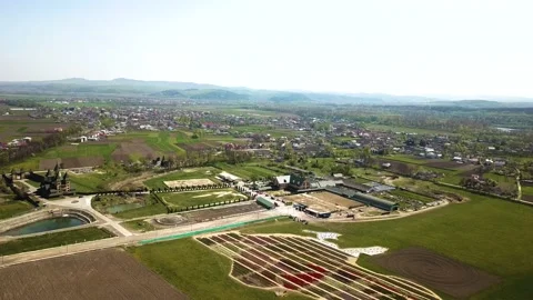 Rural views of tulip fields seen from above. Spring tulips floral tulip bunch Stock Footage 230919547