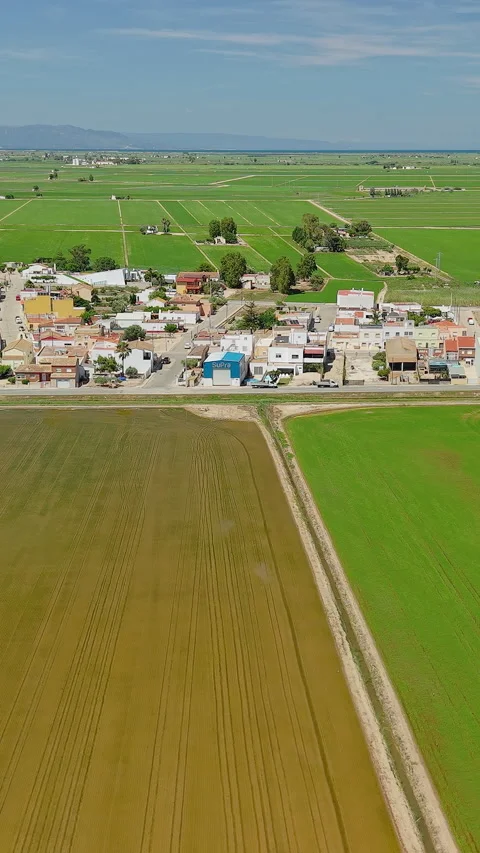 Rural village and rice fields in Ebro Delta Natural Park, Deltebre Stock Footage 340035517